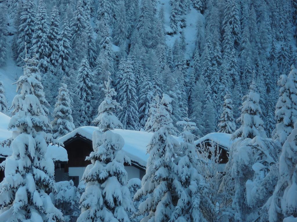 Hotel L' Aiglon Champoluc Extérieur photo